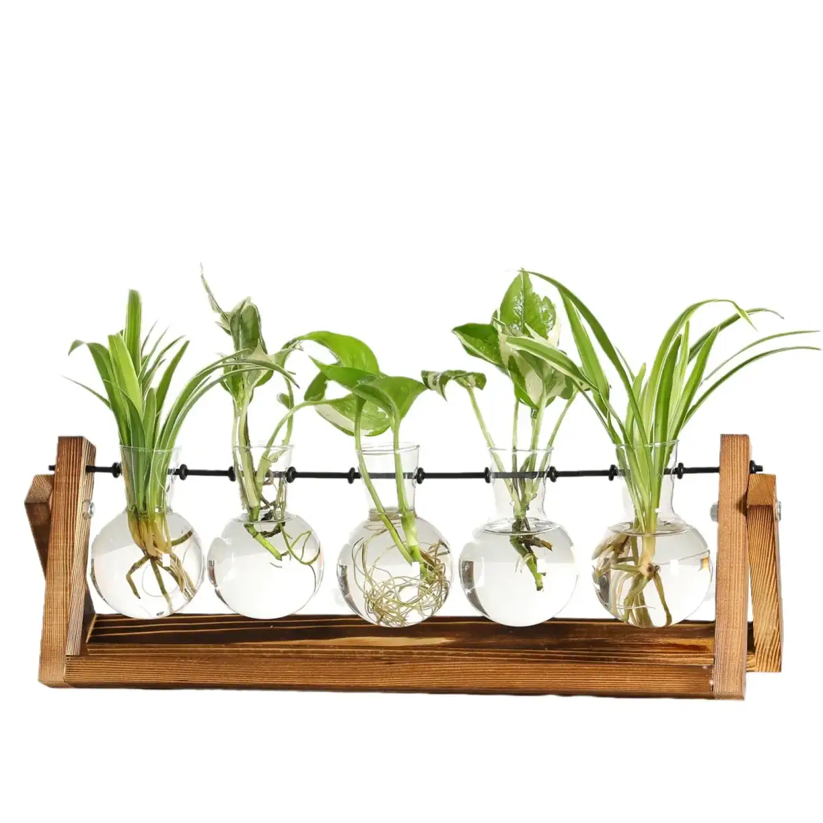 Vase de plantes en laboratoire avec support en bois et tubes à essai contenant des plantes vertes, illustrant la décoration scientifique et naturelle.