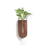 Support mural en bois avec plante verte suspendue.
