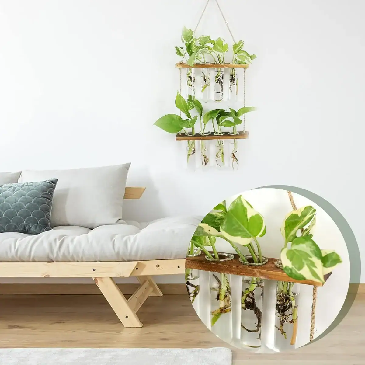 Décoration intérieure avec plantes en bocaux suspendus, apportant une touche naturelle et moderne à la pièce. Idéal pour un intérieur tendance et écologique.
