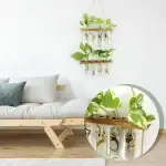 Décoration intérieure avec plantes en bocaux suspendus, apportant une touche naturelle et moderne à la pièce. Idéal pour un intérieur tendance et écologique.