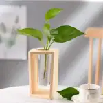 Vase en bois avec une plante verte à feuilles larges dans un intérieur moderne, décoration naturelle et élégante.