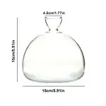 Pipette en verre transparente, idéale pour la décoration scientifique ou comme objet de collection. Dimensions : 15 cm de large, 15,5 cm de haut, ouverture de 4,5 cm.