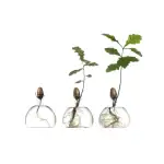 Ampoules en verre avec jeunes plantes en croissance, symbolisant la science et la nature.