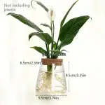 Plante d'intérieur verte dans un vase en verre avec racines visibles, idéale pour la décoration scientifique ou botanique.