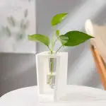 Vase en forme de tube scientifique avec une plante verte à feuilles larges, décor moderne et original pour un intérieur élégant.