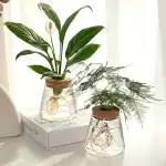 Deux plantes en vases en verre avec racines visibles, décor scientifique moderne, sur fond blanc lumineux.