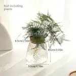Vase en verre transparent avec plante suspendue décorative.