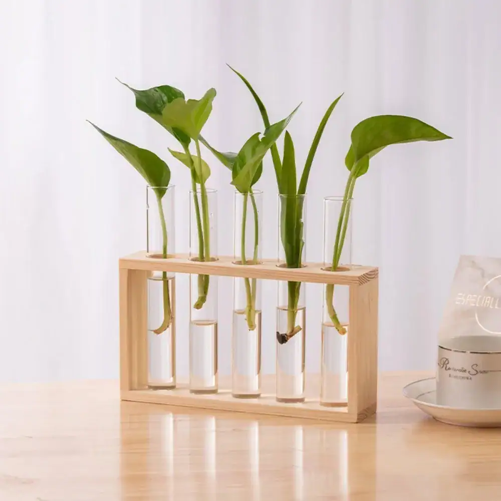 Plantes vertes dans des éprouvettes en verre, présentées dans un support en bois naturel, parfaites pour la décoration scientifique ou éducative.