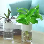 Deux petits herons d'eau en verre contenant des plantes vertes et violettes, décoratifs pour la maison ou le bureau, apportant une touche de nature et de science.