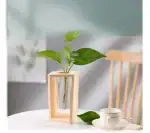 Vase en bois avec une plante verte dans un intérieur moderne, décoration naturelle et élégante pour la maison ou le bureau.