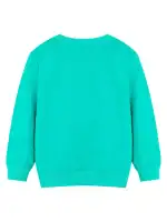 Sweatshirt turquoise unisexe, confortable et tendance, parfait pour un look décontracté ou scientifique, idéal pour la boutique et la décoration de science.