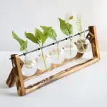 Composition de plantes vertes et blanches dans des flacons de laboratoire suspendus sur un support en bois, décoration scientifique et naturelle.